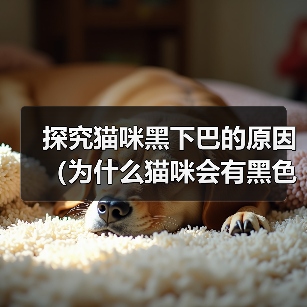 探究猫咪黑下巴的原因(为什么猫咪会有黑色下巴,与猫咪皮肤颜色有关吗?)(图2) 探究猫咪黑下巴的原因(为什么猫咪会有黑色下巴,与猫咪皮肤颜色有关吗?)(图2)