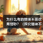 为什么有的猫咪不喜欢用猫砂?(探究猫咪不喜欢用猫砂的原因和解决方法)(图1) 为什么有的猫咪不喜欢用猫砂?(探究猫咪不喜欢用猫砂的原因和解决方法)(图1)