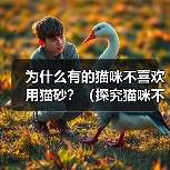 为什么有的猫咪不喜欢用猫砂?(探究猫咪不喜欢用猫砂的原因和解决方法)(图4) 为什么有的猫咪不喜欢用猫砂?(探究猫咪不喜欢用猫砂的原因和解决方法)(图4)