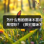 为什么有的猫咪不喜欢用猫砂?(探究猫咪不喜欢用猫砂的原因和解决方法)(图3) 为什么有的猫咪不喜欢用猫砂?(探究猫咪不喜欢用猫砂的原因和解决方法)(图3)
