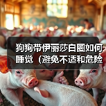 狗狗带伊丽莎白圈如何睡觉(避免不适和危险,健康照顾)(图1) 狗狗带伊丽莎白圈如何睡觉(避免不适和危险,健康照顾)(图1)