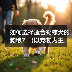 如何选择适合蝴蝶犬的狗粮?(以宠物为主,让蝴蝶犬健康成长)(图1) 如何选择适合蝴蝶犬的狗粮?(以宠物为主,让蝴蝶犬健康成长)(图1)