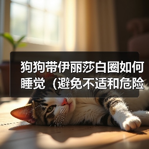 狗狗带伊丽莎白圈如何睡觉(避免不适和危险,健康照顾)(图4) 狗狗带伊丽莎白圈如何睡觉(避免不适和危险,健康照顾)(图4)