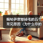 揭秘萨摩耶掉毛的五个常见原因(为什么你的萨摩耶总是掉毛?——探索萨摩耶掉毛的根源)(图1) 揭秘萨摩耶掉毛的五个常见原因(为什么你的萨摩耶总是掉毛?——探索萨摩耶掉毛的根源)(图1)