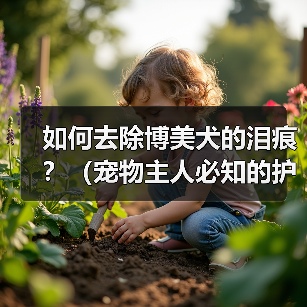 如何去除博美犬的泪痕?(宠物主人必知的护理技巧)(图1) 如何去除博美犬的泪痕?(宠物主人必知的护理技巧)(图1)