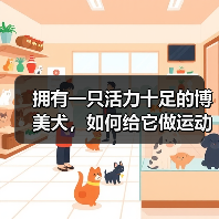 拥有一只活力十足的博美犬，如何给它做运动？（为你的宠物制定一份运动计划，让它更健康快乐）（图1）