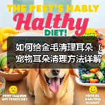 如何给金毛清理耳朵(宠物耳朵清理方法详解)(图1) 如何给金毛清理耳朵(宠物耳朵清理方法详解)(图1)