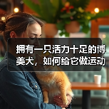 拥有一只活力十足的博美犬，如何给它做运动？（为你的宠物制定一份运动计划，让它更健康快乐）（图4）