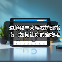 边境牧羊犬毛发护理指南（如何让你的宠物毛发更加健康亮丽）（图1）