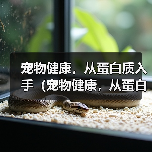 宠物健康，从蛋白质入手（宠物健康，从蛋白质入手）（图2）