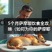 5个月萨摩耶饮食全攻略（如何为你的萨摩耶提供营养均衡的饮食）（图3）