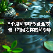 5个月萨摩耶饮食全攻略（如何为你的萨摩耶提供营养均衡的饮食）（图1）