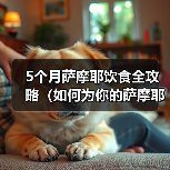 5个月萨摩耶饮食全攻略（如何为你的萨摩耶提供营养均衡的饮食）（图4）
