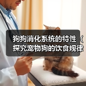 狗狗消化系统的特性（探究宠物狗的饮食规律及消化过程）（图1）
