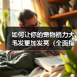 如何让你的宠物格力犬毛发更加发亮(全面指导宠物主人如何选食、清洁和调养,让宠物犬毛发更加光亮)(图2) 如何让你的宠物格力犬毛发更加发亮(全面指导宠物主人如何选食、清洁和调养,让宠物犬毛发更加光亮)(图2)