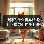 小狗为什么容易长螨虫?(探究小狗身上螨虫的原因和解决方法)(图2) 小狗为什么容易长螨虫?(探究小狗身上螨虫的原因和解决方法)(图2)