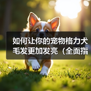 如何让你的宠物格力犬毛发更加发亮(全面指导宠物主人如何选食、清洁和调养,让宠物犬毛发更加光亮)(图1) 如何让你的宠物格力犬毛发更加发亮(全面指导宠物主人如何选食、清洁和调养,让宠物犬毛发更加光亮)(图1)