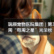瑞辰宠物医院集团 | 第3周“每周之星”光荣榜(图2) 瑞辰宠物医院集团 | 第3周“每周之星”光荣榜(图2)