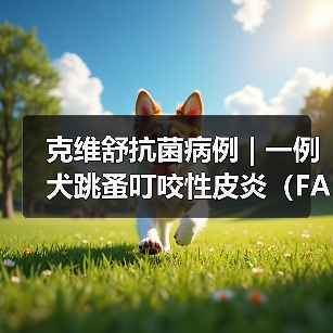 克维舒抗菌病例 | 一例犬跳蚤叮咬性皮炎（FAD）的病例分析（图3）