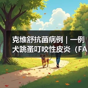 克维舒抗菌病例 | 一例犬跳蚤叮咬性皮炎（FAD）的病例分析（图4）