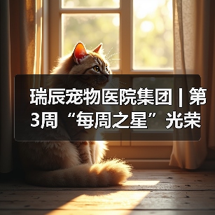 瑞辰宠物医院集团 | 第3周“每周之星”光荣榜(图3) 瑞辰宠物医院集团 | 第3周“每周之星”光荣榜(图3)