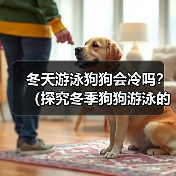 冬天游泳狗狗会冷吗?(探究冬季狗狗游泳的注意事项)(图2) 冬天游泳狗狗会冷吗?(探究冬季狗狗游泳的注意事项)(图2)
