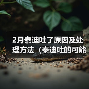 2月泰迪吐了原因及处理方法(泰迪吐的可能原因和预防措施)(图1) 2月泰迪吐了原因及处理方法(泰迪吐的可能原因和预防措施)(图1)