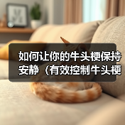 如何让你的牛头梗保持安静(有效控制牛头梗的吠叫行为,让生活更加美好)(图1) 如何让你的牛头梗保持安静(有效控制牛头梗的吠叫行为,让生活更加美好)(图1)
