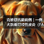 克维舒抗菌病例 | 一例犬跳蚤叮咬性皮炎（FAD）的病例分析（图1）
