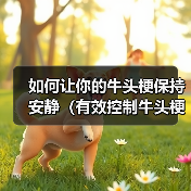 如何让你的牛头梗保持安静(有效控制牛头梗的吠叫行为,让生活更加美好)(图4) 如何让你的牛头梗保持安静(有效控制牛头梗的吠叫行为,让生活更加美好)(图4)