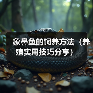 象鼻鱼的饲养方法(养殖实用技巧分享)(图1) 象鼻鱼的饲养方法(养殖实用技巧分享)(图1)