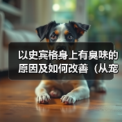 以史宾格身上有臭味的原因及如何改善(从宠物护理、饮食、健康等方面解析臭味来源和处理方法)(图3) 以史宾格身上有臭味的原因及如何改善(从宠物护理、饮食、健康等方面解析臭味来源和处理方法)(图3)