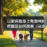 以史宾格身上有臭味的原因及如何改善(从宠物护理、饮食、健康等方面解析臭味来源和处理方法)(图4) 以史宾格身上有臭味的原因及如何改善(从宠物护理、饮食、健康等方面解析臭味来源和处理方法)(图4)