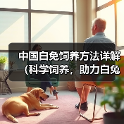 中国白兔饲养方法详解(科学饲养,助力白兔健康成长)(图1) 中国白兔饲养方法详解(科学饲养,助力白兔健康成长)(图1)