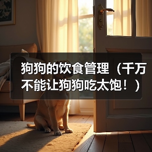 狗狗的饮食管理(千万不能让狗狗吃太饱!)(图3) 狗狗的饮食管理(千万不能让狗狗吃太饱!)(图3)
