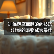 训练萨摩耶翻滚的技巧(让你的宠物成为最佳表演者)(图3) 训练萨摩耶翻滚的技巧(让你的宠物成为最佳表演者)(图3)