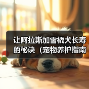 让阿拉斯加雪橇犬长寿的秘诀(宠物养护指南,如何延长狗狗的寿命)(图1) 让阿拉斯加雪橇犬长寿的秘诀(宠物养护指南,如何延长狗狗的寿命)(图1)