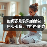 如何识别狗狗的情绪(用心观察,看狗狗的喜怒哀乐)(图1) 如何识别狗狗的情绪(用心观察,看狗狗的喜怒哀乐)(图1)