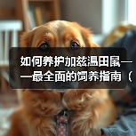如何养护加兹温田鼠——最全面的饲养指南(宠物爱好者必看,分享加兹温田鼠的饲养经验)(图1) 如何养护加兹温田鼠——最全面的饲养指南(宠物爱好者必看,分享加兹温田鼠的饲养经验)(图1)