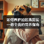 如何养护加兹温田鼠——最全面的饲养指南(宠物爱好者必看,分享加兹温田鼠的饲养经验)(图2) 如何养护加兹温田鼠——最全面的饲养指南(宠物爱好者必看,分享加兹温田鼠的饲养经验)(图2)