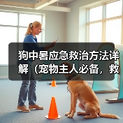 狗中暑应急救治方法详解（宠物主人必备，救命大法！）（图1）