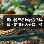 狗中暑应急救治方法详解（宠物主人必备，救命大法！）（图4）