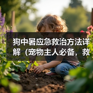 狗中暑应急救治方法详解（宠物主人必备，救命大法！）（图3）