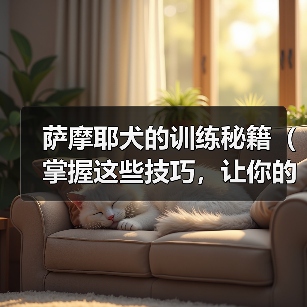 萨摩耶犬的训练秘籍（掌握这些技巧，让你的萨摩耶成为听话的好孩子）（图1）