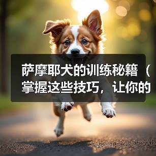 萨摩耶犬的训练秘籍（掌握这些技巧，让你的萨摩耶成为听话的好孩子）（图4）