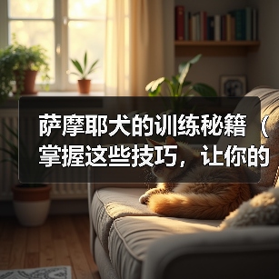 萨摩耶犬的训练秘籍（掌握这些技巧，让你的萨摩耶成为听话的好孩子）（图2）