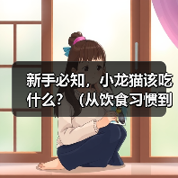 新手必知,小龙猫该吃什么?(从饮食习惯到饲养技巧,这篇文章全都告诉你)(图1) 新手必知,小龙猫该吃什么?(从饮食习惯到饲养技巧,这篇文章全都告诉你)(图1)