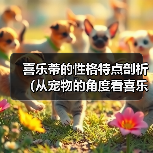 喜乐蒂的性格特点剖析(从宠物的角度看喜乐蒂的性格特点)(图1) 喜乐蒂的性格特点剖析(从宠物的角度看喜乐蒂的性格特点)(图1)