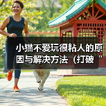 小猫不爱玩很粘人的原因与解决方法(打破“猫不爱玩”的迷思,让小猫喜欢上玩耍)(图2) 小猫不爱玩很粘人的原因与解决方法(打破“猫不爱玩”的迷思,让小猫喜欢上玩耍)(图2)