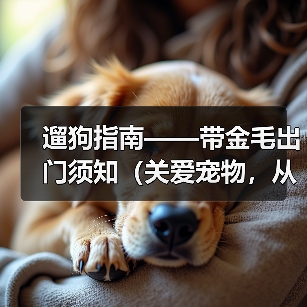 遛狗指南——带金毛出门须知(关爱宠物,从每一次遛狗开始)(图1) 遛狗指南——带金毛出门须知(关爱宠物,从每一次遛狗开始)(图1)
